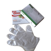 Gants de protection efficace en plastique, 100 pièces, jetables en vinyle pe, fournitures de gants pe en sac