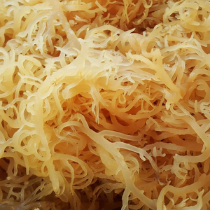 Busca los productos de madera en 2023/Ana. - Product Image 1