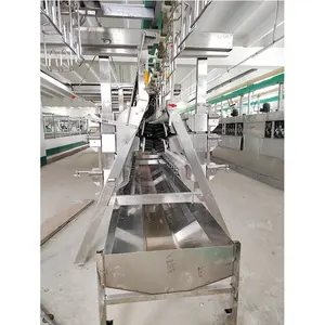 500 BPH Automatic Slaughter House Equipment Chicken Poultry Slaughtering Line