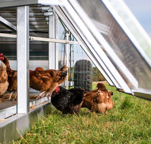 Nhà Mới Sử Dụng Ngoài Trời Di Chuyển Gà Nhà Với Bánh Xe 15-20 Con Gà Công Suất Năng Lượng Mặt Trời Powered Tự Động Cho Ăn & Uống Hệ Thống - Product Image 1