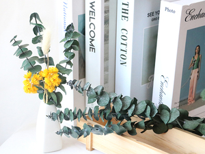 Vente en gros de <span class=keywords><strong>fleurs</strong></span> d'eucalyptus <span class=keywords><strong>stabilisées</strong></span> en feuilles d'eucalyptus de haute qualité pour les occasions de remise de diplômes bon marché - Product Image 5