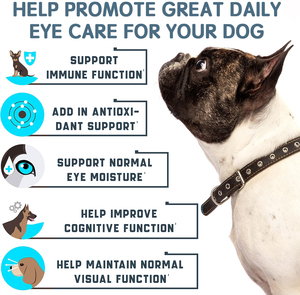 Personnalisation OEM/ODM, complément alimentaire liquide pour animaux de compagnie, absorption rapide, sûr, vitamines pour chiens et chats, huile de poisson, durée de conservation de 2 ans - Product Image 2
