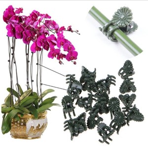 Clips de <span class=keywords><strong>support</strong></span> en plastique de haute qualité <span class=keywords><strong>pour</strong></span> orchidées et plantes grimpantes, <span class=keywords><strong>pour</strong></span> jardin, intérieur/extérieur, favorisant la croissance verticale - Product Image 3