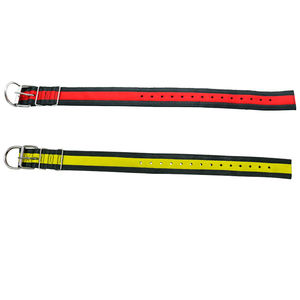 Collares y correas para mascotas de 2 pulgadas al por mayor, correas de nailon resistentes con cintas reflectantes y estampado de gatos, entrenamiento de perros Pitbull - Product Image 5