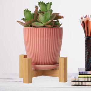 Support pour plantes succulentes, support de bureau/salon, petit support pour fleurs en pothos/bambou/bois, support pour pot de fleurs de balcon, moderne - Product Image 1