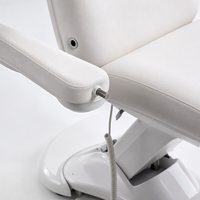 Table de soin électrique à 3 moteurs avec accoudoirs amovibles et hauteur réglable pour salon, spa, tatouage et soins du visage