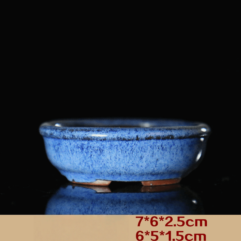 Ellipse bleue de 2,5 pouces