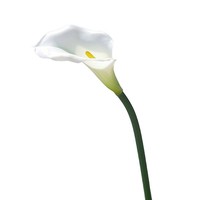 Calla Lily seperti hidup Gel lembut bunga buatan dekorasi rumah Model ruangan menampilkan karangan bunga pernikahan alat peraga fotografi