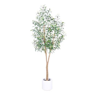 Árbol de <span class=keywords><strong>Olivo</strong></span> Artificial de Lujo, Planta Bonsái <span class=keywords><strong>Grande</strong></span> para Decoración Interior/Exterior, Maceta Densa de 180 cm, Vegetación Nórdica - Product Image 5