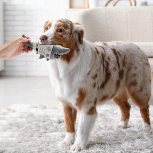 Yeni varış interaktif çiğnemek Molar köpek oyuncak diş temizleme için simüle köpekbalığı isırmaya dayanıklı havalandırma oyuncak kauçuktan yapılmış - Product Image 4