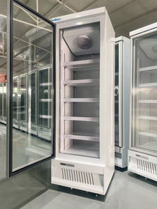 Vente chaude Standing Shop Congélateur Belle Qualité Supermarché Porte En Verre Commercial Frozen Affichage Vertical Vitrine Congélateur - Product Image 3