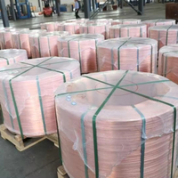 Fil de cuivre ETP de 8 mm, 99,99 % de cuivre pur de qualité électrique, bobine de fil de cuivre pour la production de câbles et de fils