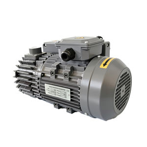 Bomba de Vácuo Rotativa de Palhetas de Estágio Único OEK QV-21 com Motor de Cobre Puro 1.2HP 60Hz para Uso Industrial OEM Garantia de 2 Anos - Product Image 1