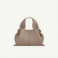 Sac à main messager tendance pour femme, motif litchi, style dumpling, collection transfrontalière Polen Bollinger Cloud Bag