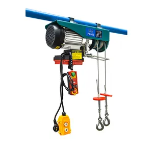 Factory Direct Sales Small Lifting Equipment Pa1000 Electric Hoist