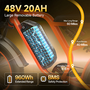 จักรยานไฟฟ้า Terra 48v 20ah แบตเตอรี่แบบเต็มระบบกันสะเทือน ยางใหญ่ แฟชั่น 1000w กำลังไฟปรับแต่งได้ - Product Image 6