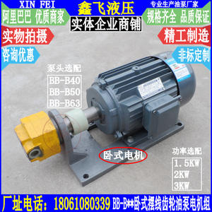 WBZ-BB-B40 B50 B63 Horizontal Cycloidal Gear 2.2KW Oilfield Pumping Unit Motor - Product Image 1