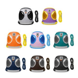 Ensemble <span class=keywords><strong>Harnais</strong></span> et Laisse Double Maille Luxe pour Animaux Réfléchissant Respirant Boucle Ajustable <span class=keywords><strong>Anti</strong></span>-Évasion Universel pour Chats et Chiens - Product Image 2