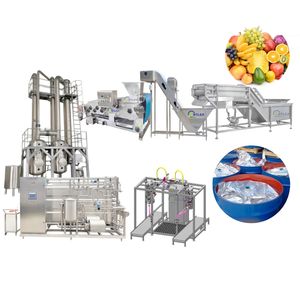 マンゴーアプリコットピーピー濃縮加工ラインパッションフルーツパルプ製造機 - Product Image 1