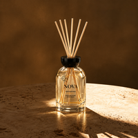 Diffuseur de parfum NOVA Aromatherapy, parfum d'ambiance longue durée, huile parfumée, désodorisant d'air, vente en gros