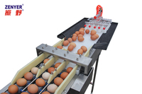 Oeuf de poulet volaille ferme 5400 pcs/h oeuf équipement de classement, oeuf trieuse machine à vendre