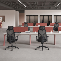 Chaise de bureau ergonomique de direction avec support lombaire 2D, accoudoirs 3D réglables, coussin en forme de W confortable – Chaise de bureau haut de gamme pour patron