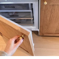 Réfrigérateur sans givre encastrable pour îlot de cuisine, silencieux, petit réfrigérateur en plastique, affichage de la température par ordinateur