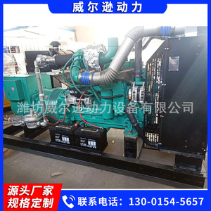 Grupo Electrógeno de Turbina de Gas Weifang de 120kW, 380/220V, Unidad de Energía Industrial de Biogás - Product Image 5
