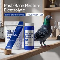 Poudre d'électrolytes avancée pour pigeons : réhydratation rapide après la course, récupération musculaire et soulagement du stress – Marque privée, usine OEM