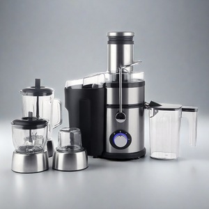 Extracteur de jus lent électrique silencieux 800W avec séparation pulpe/jus 1000ML et lames en acier inoxydable pour commande OEM - Fournisseur d'usine - Product Image 1