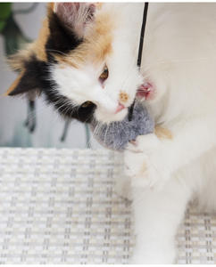 Fabricante al por mayor de felpa corta suave resistencia a mordeduras gato Sisal pequeño Scratcther - Product Image 3