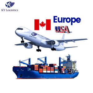 Livraison Gratuite Porte à Porte Service d'Expédition Logistique FBA Chine Expédition Express Agent d'Expédition DHL États-Unis Canada Europe - Product Image 1