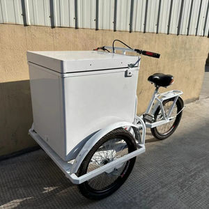 รถสามล้อบรรทุกแบบเปิดโครงเหล็ก ขนาด 68 ลิตร สำหรับผู้ใหญ่ ใช้พลังงานแสงอาทิตย์ พร้อมเบรกแบบล้อ  ไม่มีเกียร์  สำหรับขายไอศกรีม/ไอซ์โอลลี่ - Product Image 2