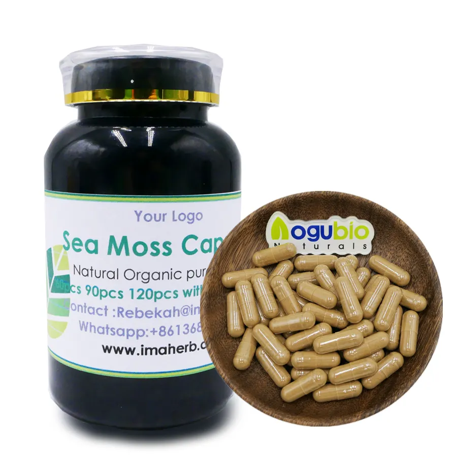 Orgânico Sea Moss Plus Bladderwrack Bardana Raiz Pure Sea Moss cápsula