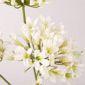 Fleurs artificielles d'agapanthus blanches en soie, haute simulation, décoration intérieure, ornement de mariage - Product Image 3