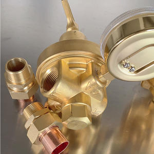 Regolatore di Gas in Ottone Resistente per Bombole, Tipo a Diaframma, Struttura Monostadio con Valvola di Sicurezza Integrata per GPL e Propano - Product Image 4