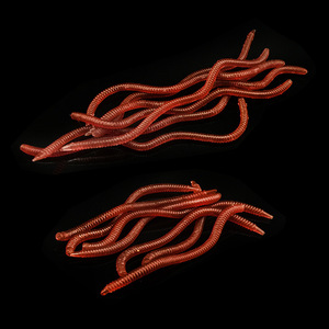 Aotuo Leurre souple en silicone 8cm 10cm, leurre artificiel <span class=keywords><strong>pour</strong></span> <span class=keywords><strong>la</strong></span> <span class=keywords><strong>pêche</strong></span> <span class=keywords><strong>à</strong></span> <span class=keywords><strong>la</strong></span> <span class=keywords><strong>carpe</strong></span>, au carassin et en eau douce - Product Image 3