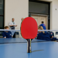 Raquette de tennis de table professionnelle en bois avec personnalisation approuvée