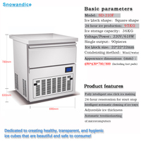 Machine à glaçons commerciale entièrement automatique à compresseur 220V, refroidissement par air, boîtier métallique, forme de glaçon