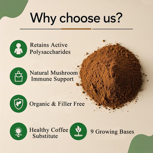Suministro de mezcla de <span class=keywords><strong>cacao</strong></span> con Reishi Instant Mushroom <span class=keywords><strong>Cacao</strong></span> Drink Powder para bebidas saludables - Product Image 3