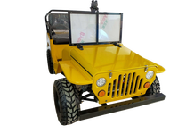Vente d'usine - Mini quads Willys 110cc à essence, 2 roues motrices, 4 temps, automatiques, certifiés EPA et EEC, UTV pour enfants