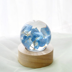 趋势产品2025新品阿里巴巴中国网上购物可定制礼品保鲜花玻璃球灯 - Product Image 2