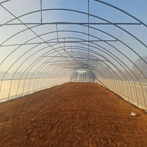 Agriculture Hydroponic <strong>Tunnel</strong> 30 X 100 Greenhouse - Product Image 2
