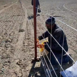 Clôture de ferme à champ fixe galvanisée à chaud Clôture de sécurité pour moutons de ferme en fil de porc <span class=keywords><strong>Poteau</strong></span> de clôture de ferme de 2.4m - Product Image 6