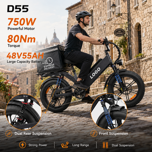 Bicicleta Eléctrica de Reparto D55, 750W, 48V55Ah, Neumático Grueso de 20 Pulgadas, E-MTB, 240 km de Autonomía, OEM, Suspensión Completa, Bicicleta de Carga para Todo Terreno - Product Image 1