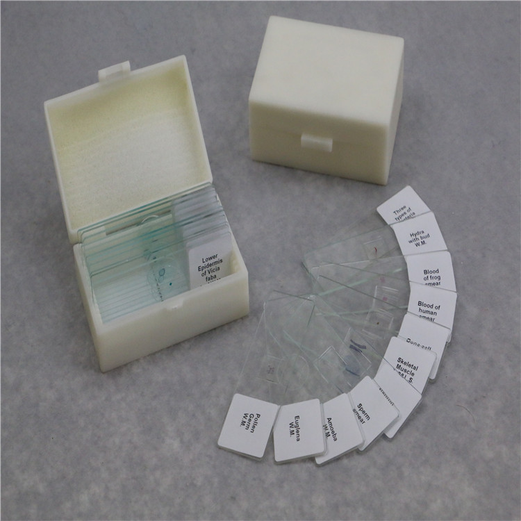 Медицинская медицина, высококачественный набор, биологические животные, слайды, образовательные принадлежности, ботанический микроскоп, слайд по отличной цене