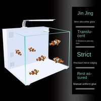 Petit aquarium rectangulaire ultra-blanc écologique à circulation autonome avec filtre arrière, moderne, pour animaux de compagnie, pour la maison et le salon