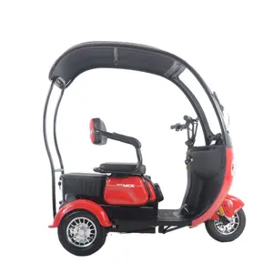Price High Quality New Design 3 Wheel Electric Tricycle For Adults 1000w Electric Tricycle Whole Sales Factory Price