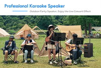 Altavoz de Torre para Interiores y Exteriores, Altavoz Profesional para Karaoke, Sistema de Sonido Portátil para Teatro, Altavoz Activo de Línea