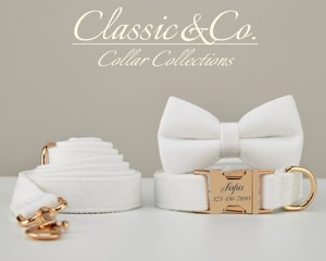 Collar y Correa para Cachorro con Lazo de Terciopelo Personalizado, Diseño Sólido y Hebilla Metálica con Nombre Grabado - Product Image 2